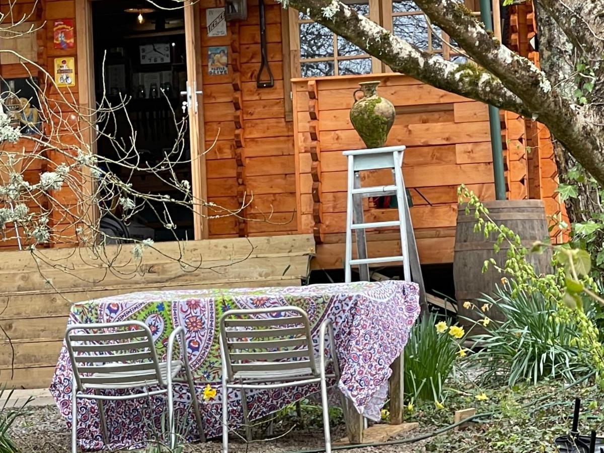Retro Private Lodge With Hot Tub Nr Dartmoor Ньютон Эбэт Экстерьер фото