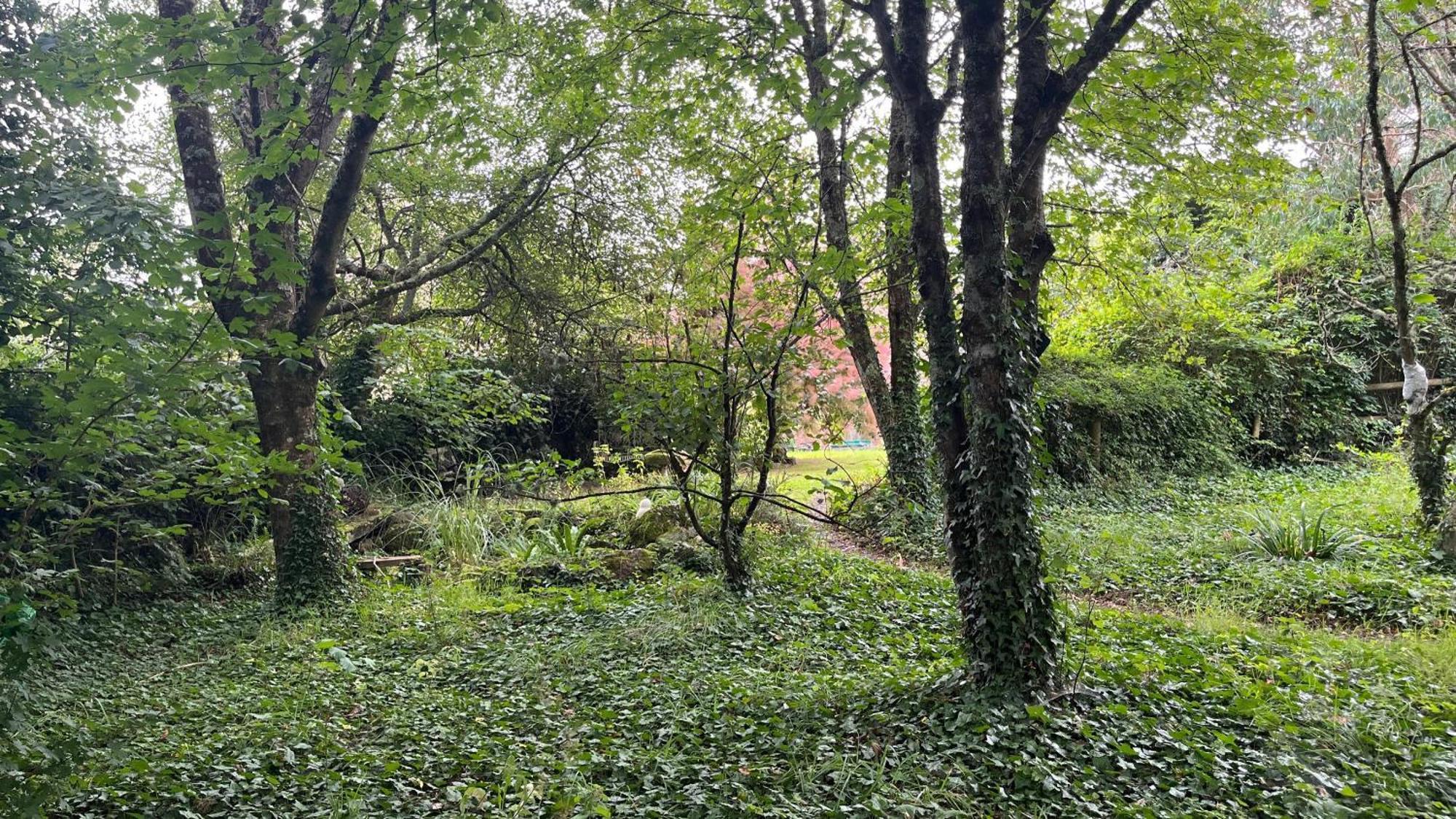 Retro Private Lodge With Hot Tub Nr Dartmoor Ньютон Эбэт Экстерьер фото